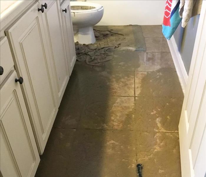 sewage backup on bathroom floor